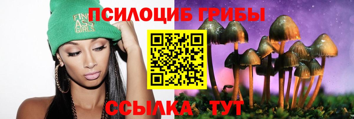 Галлюциногенные грибы мухоморы Балтийск